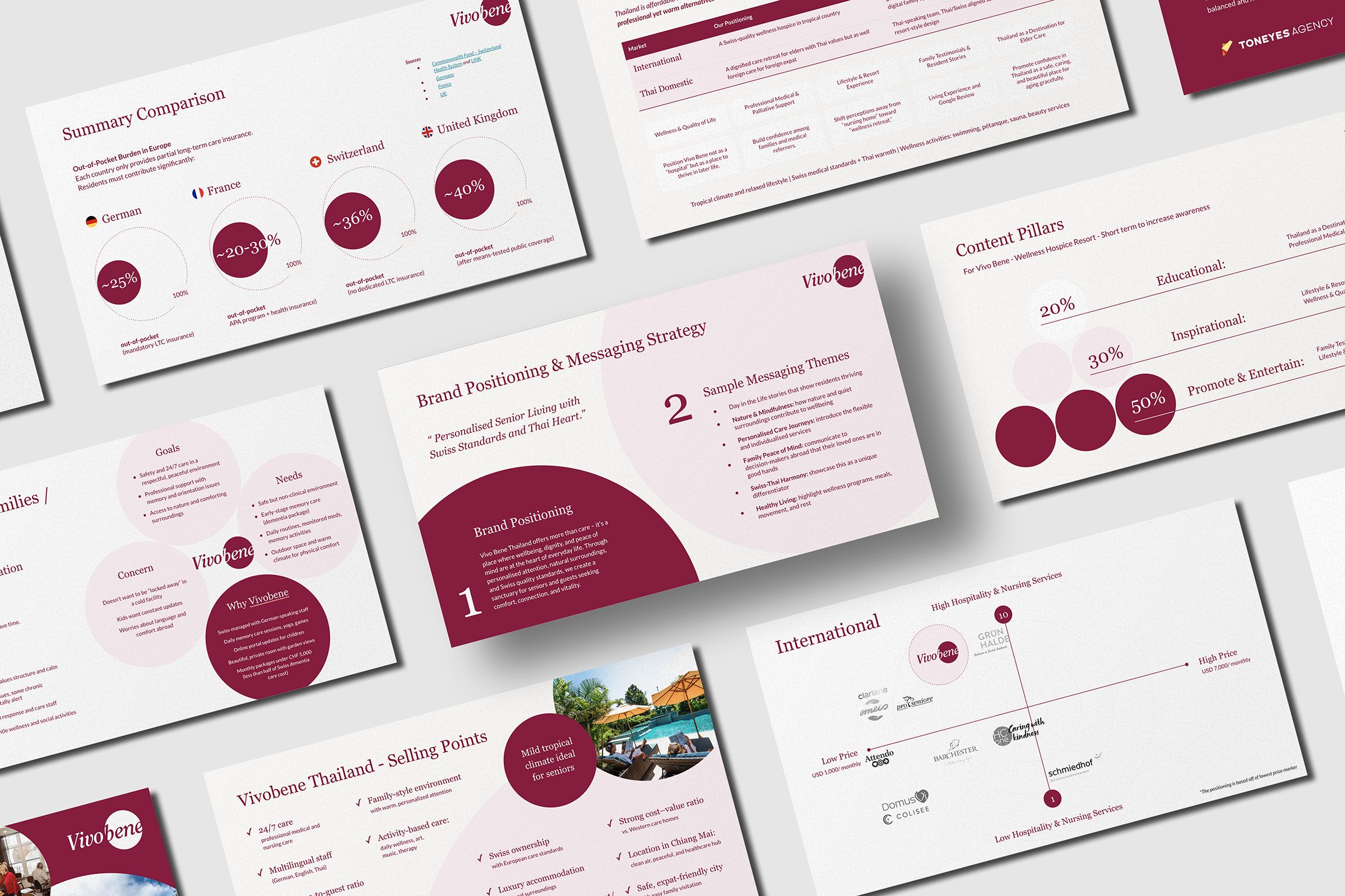 InvestorDisplay Screenshots, and outcome of the business development process