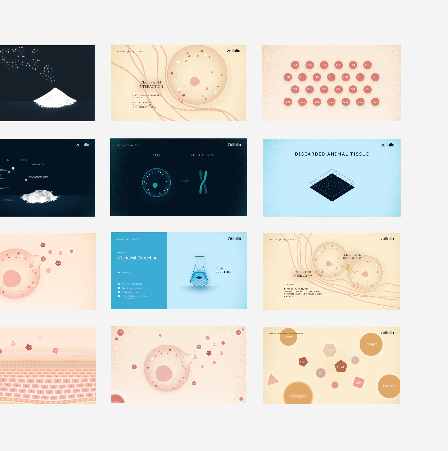 Zellulin Motion Graphics Storyboard